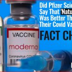 pFIZER-SCIENTISTS-NATURAL-IMMUNITY-COVID-VACCINES